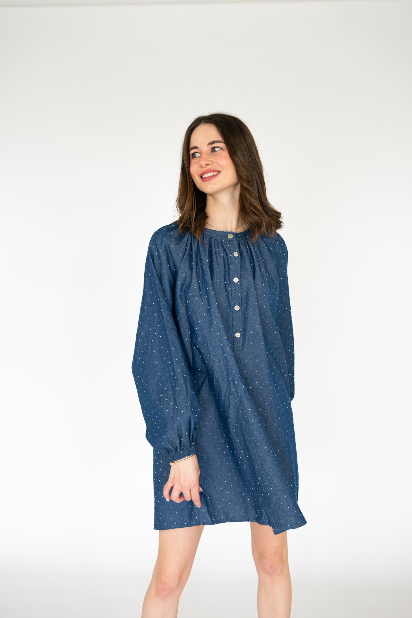 Denime Sparkle Dress